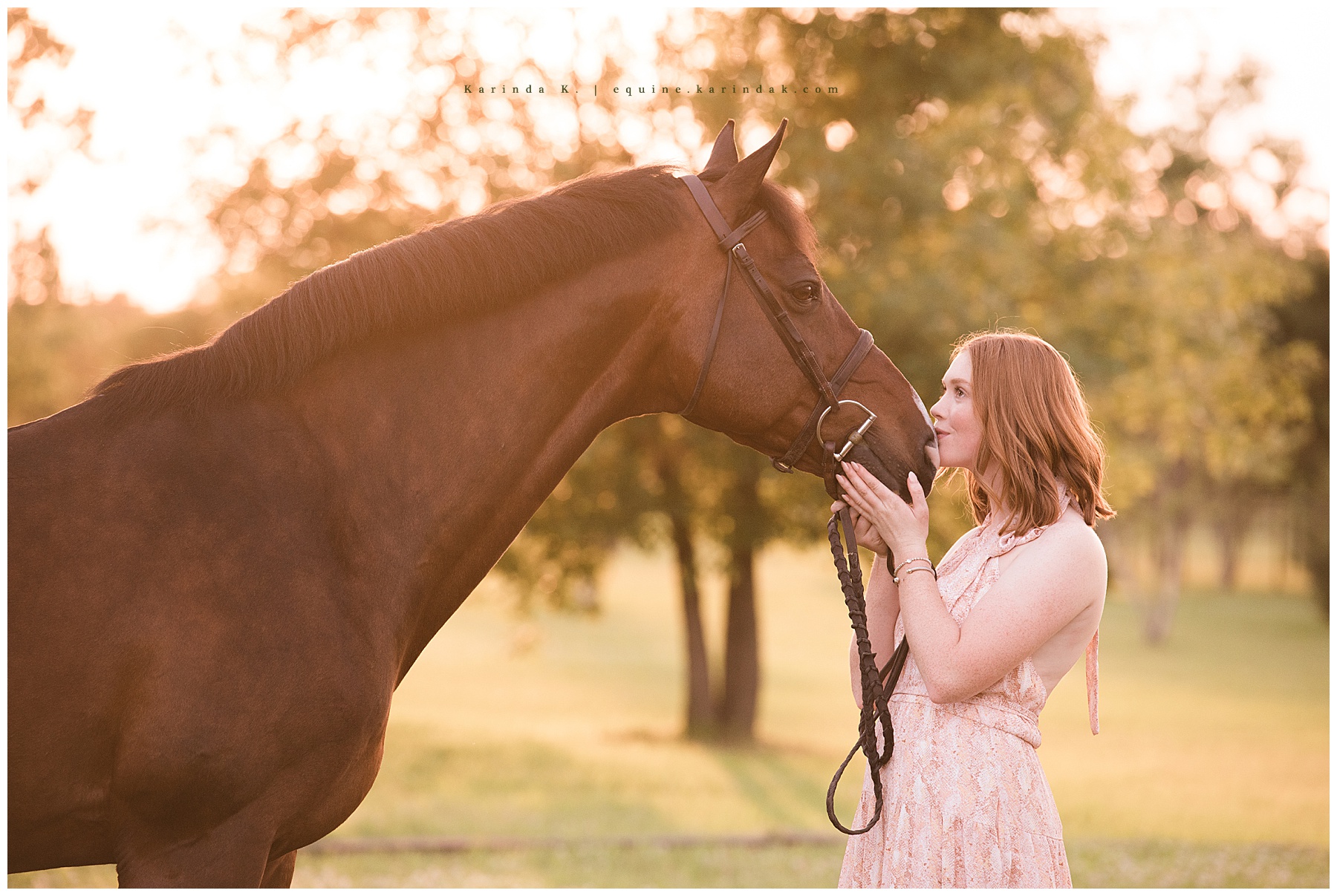horse kisses portrait