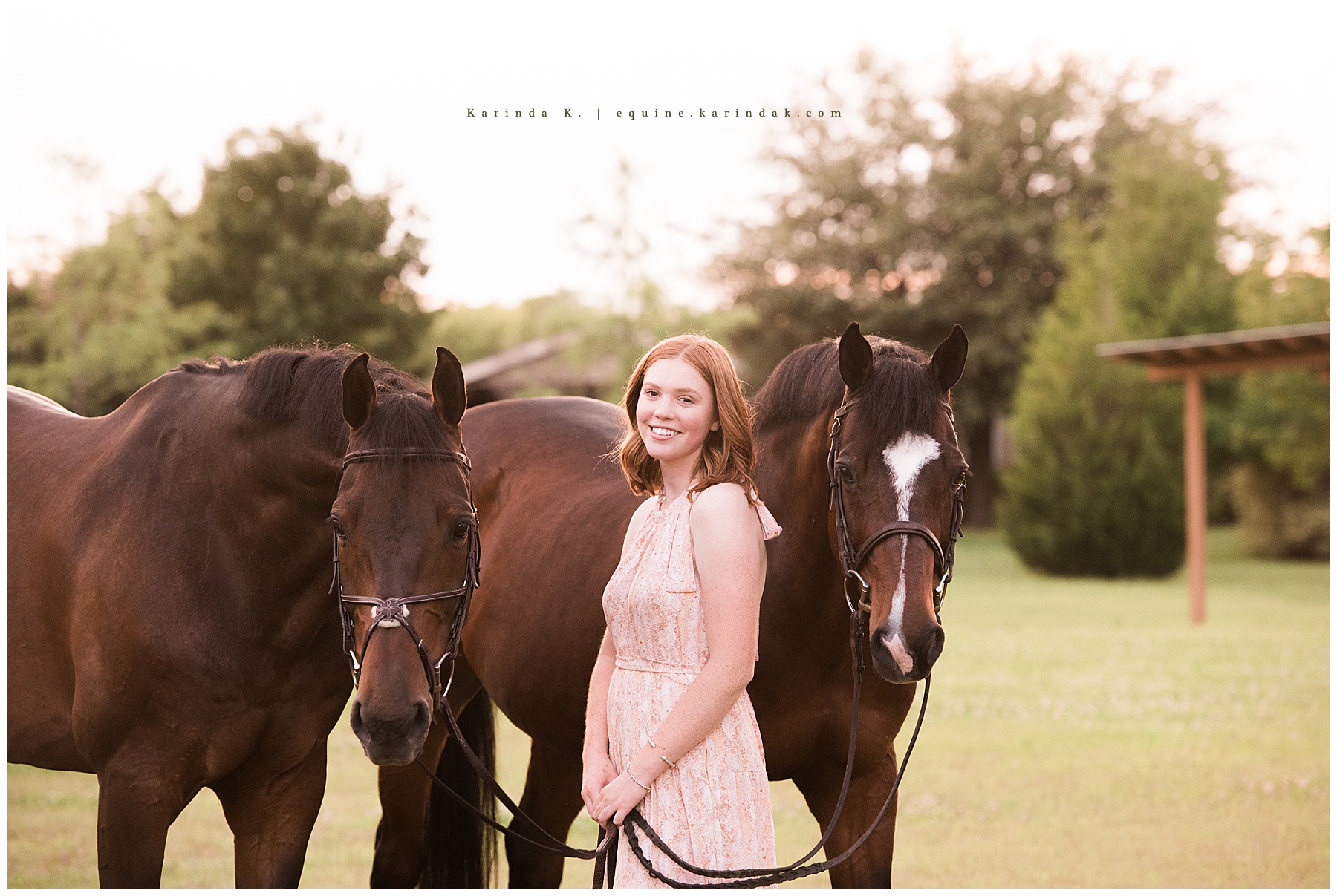 outdoor horse and rider portrait