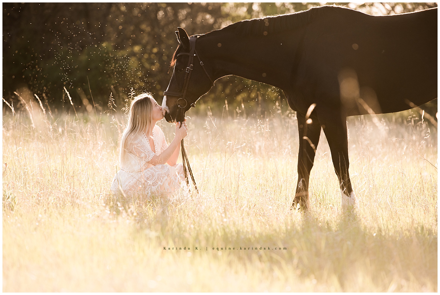 horse and rider kneeling pose in field Towanda, KS
