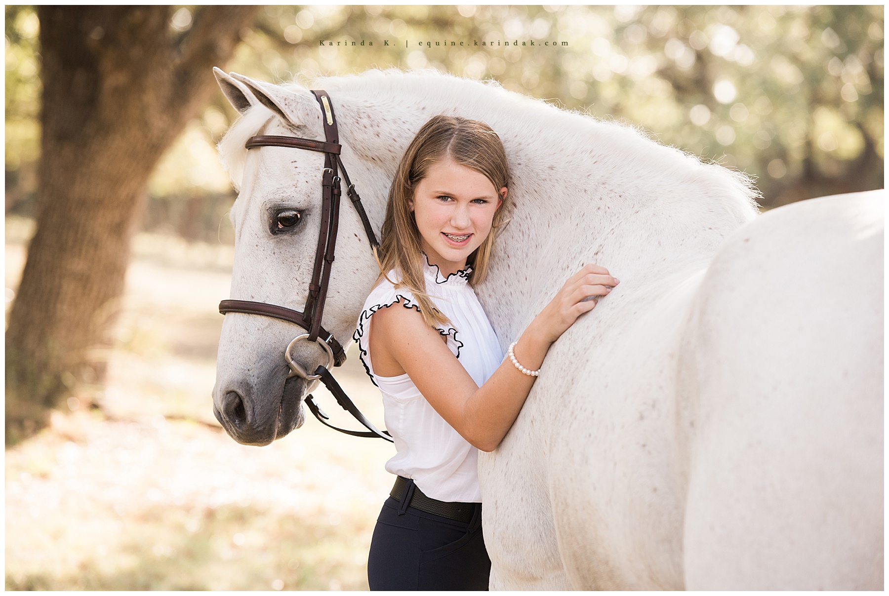 hunter/jumper horse and rider portraits 