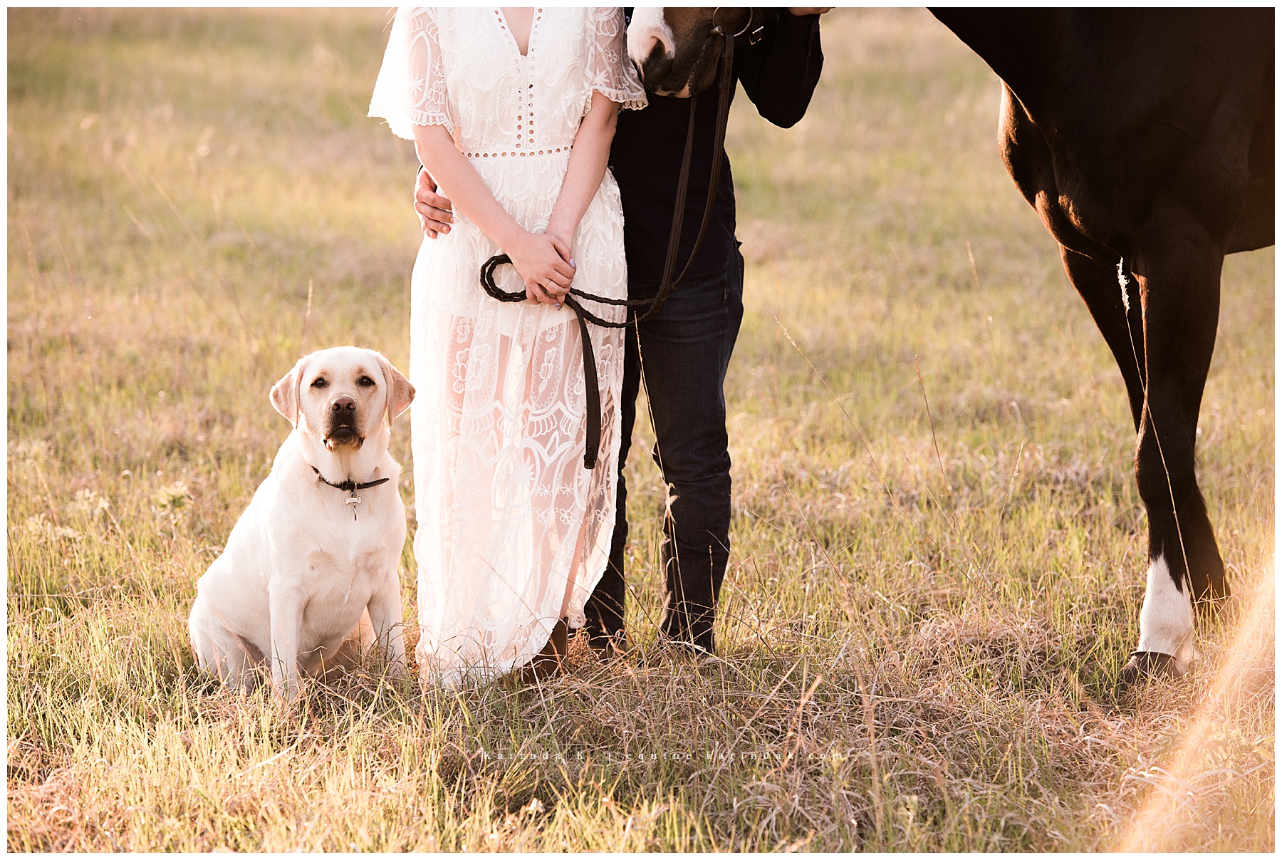couples portrait cropped with dog and horse 