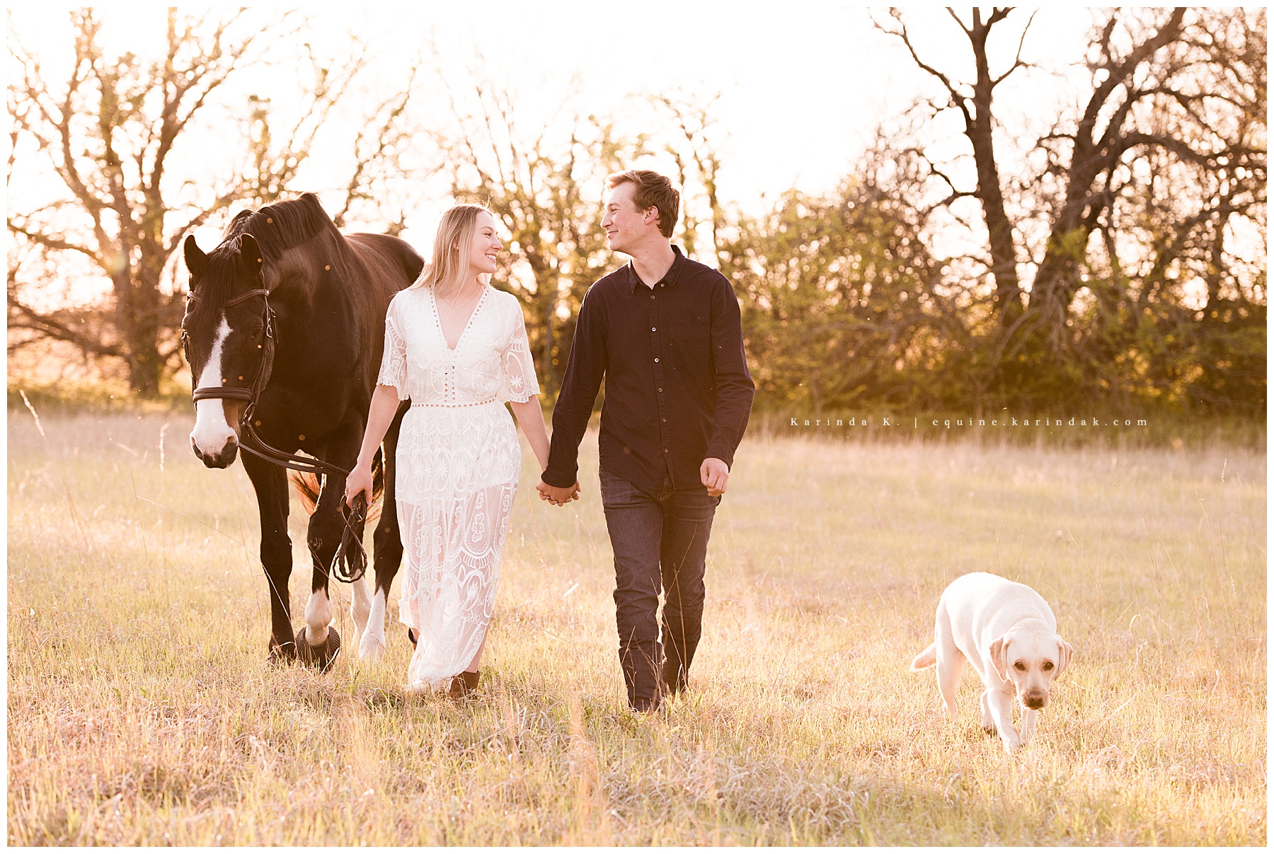 outdoor couples portrait with dog and horse 