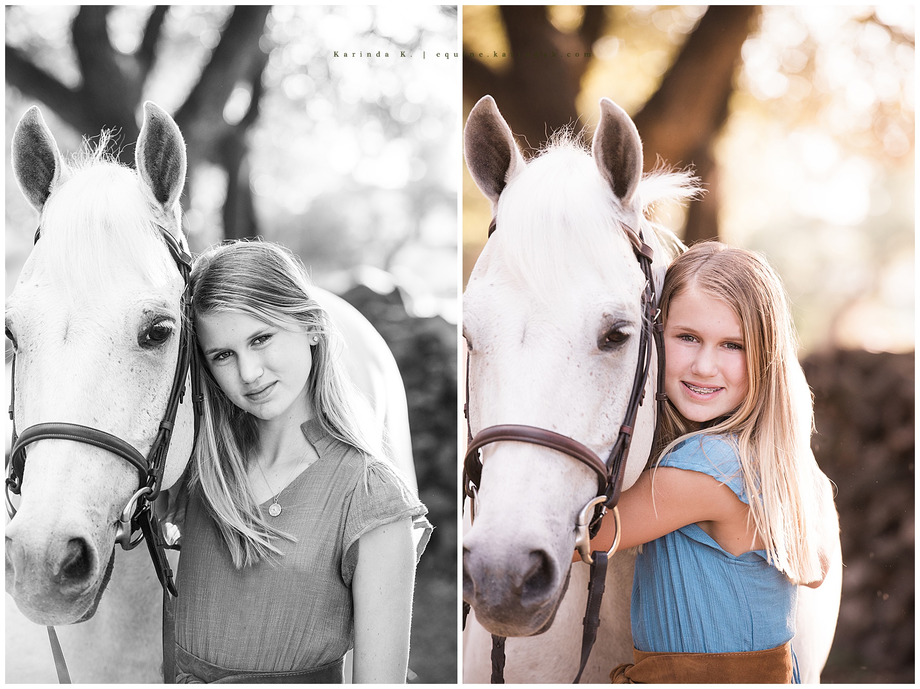 horse & rider portraits close up 