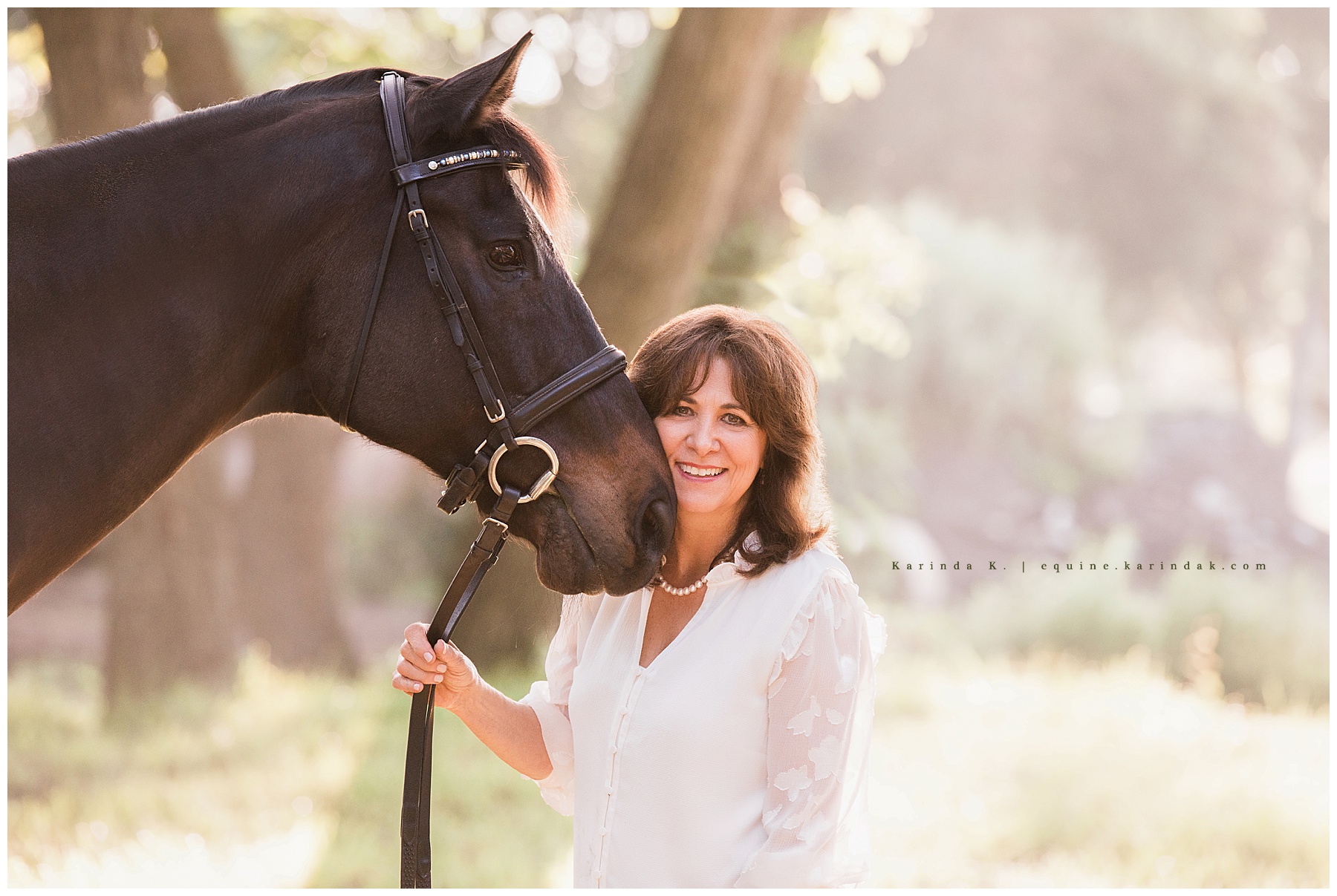 horse and rider mckinney, tx portraits 