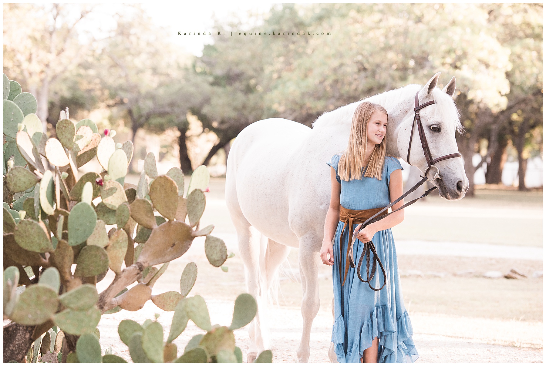 San Antonio equine photographer  