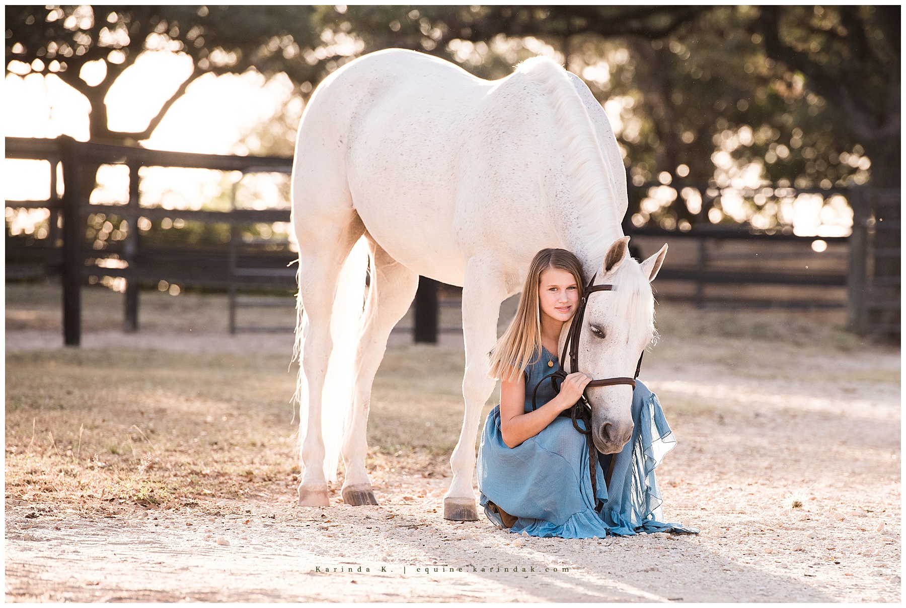 horse and rider portrait bulverde, tx