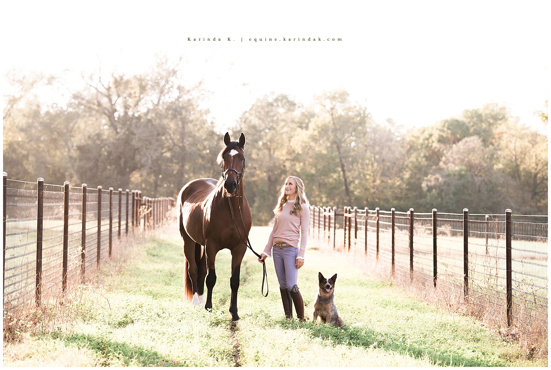 Magnolia Horse Riding Lessons