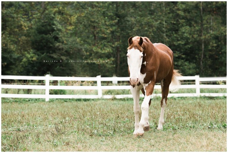 Casper | 30 over 30 | Notting Hill Farm