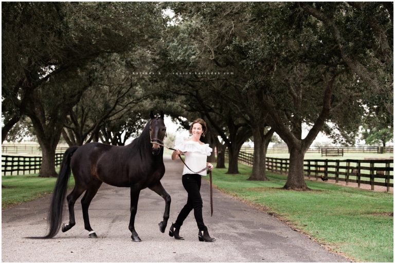 Bluebonnet Farm | Saddlebred Horse & Rider Portraits