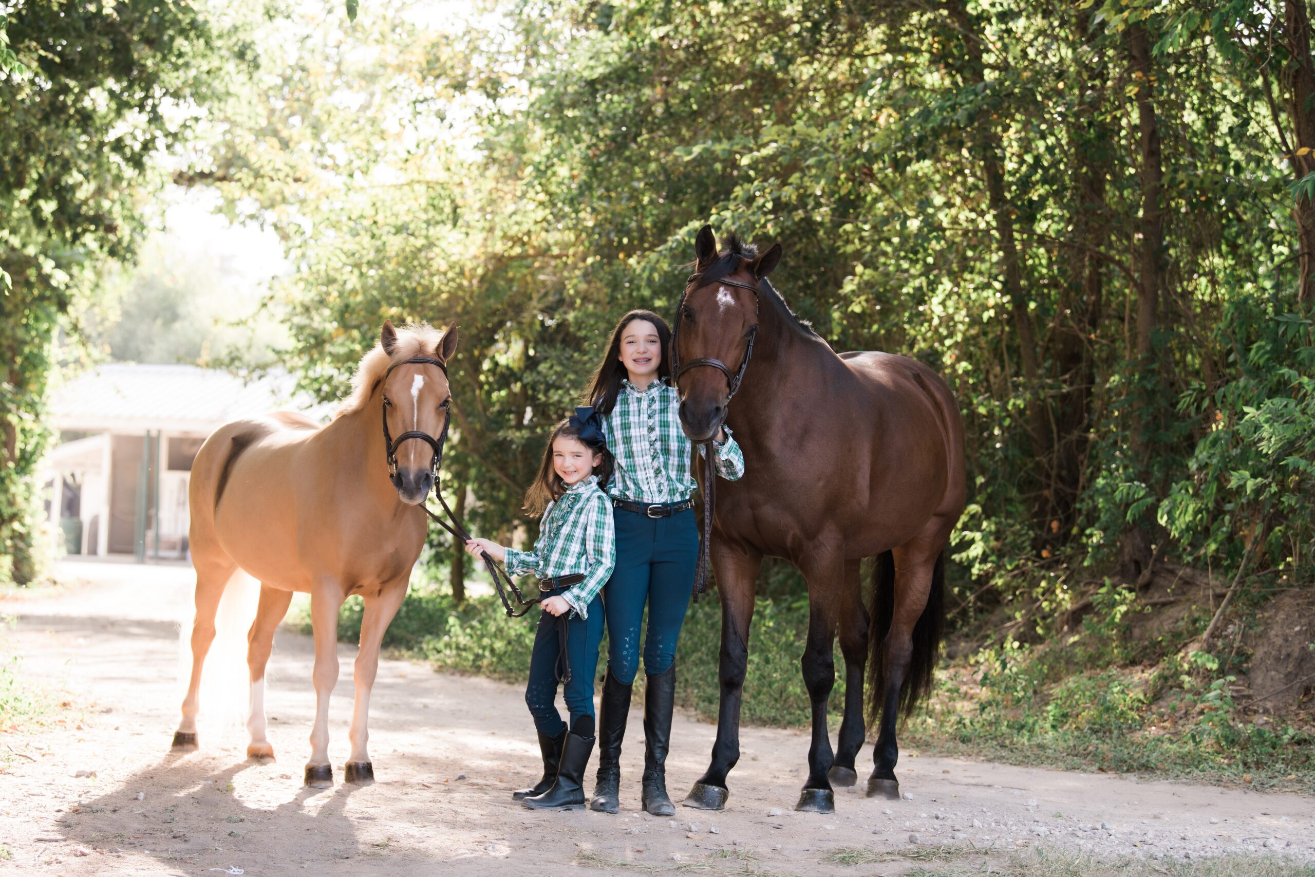 Past Sessions | Sibling